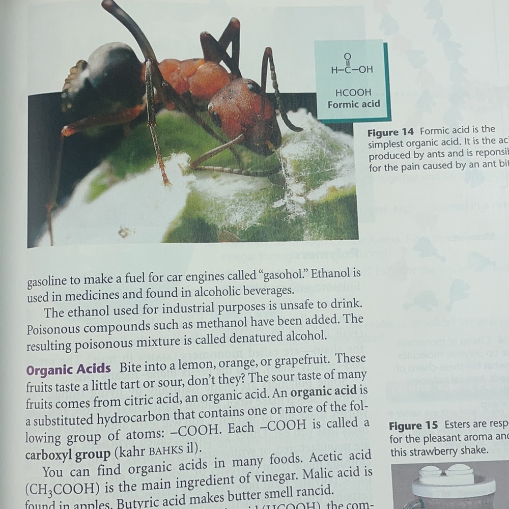 Science Explorer Chemical Building Blocks- Book - Picture 3 of 3